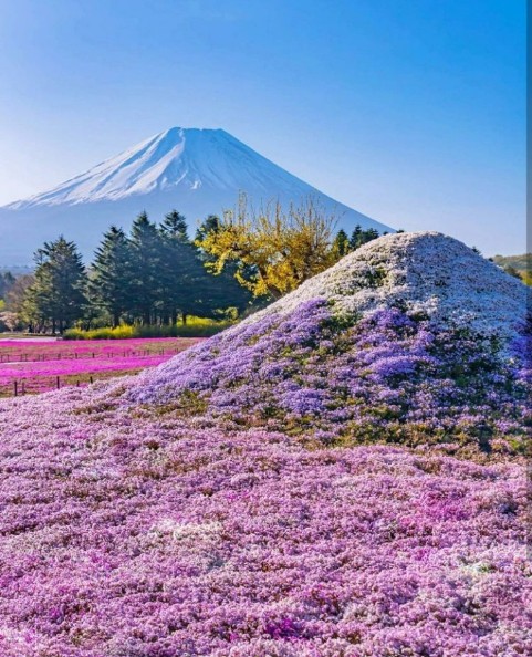 Screenshot_2022_0423_212901