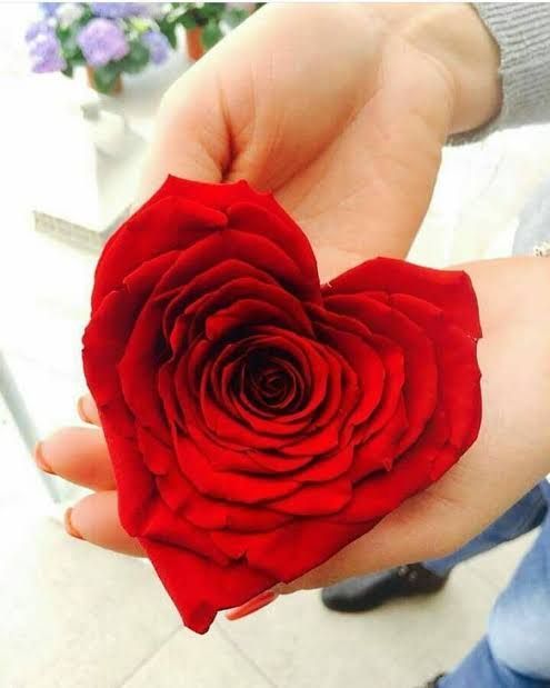 6f9366449c87e33221583fe89c5ec17f