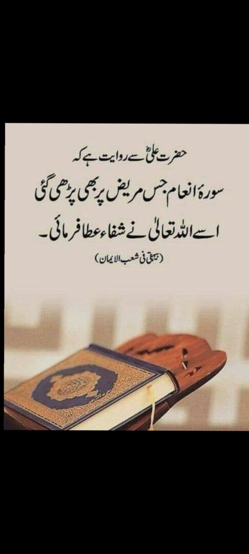 Screenshot_20221211_160744