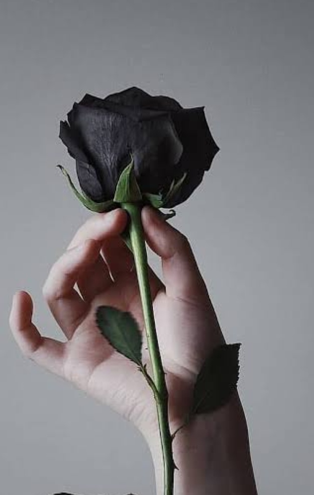 Screenshot_20230430_000501_com.android.chrome_edit_22903760665254