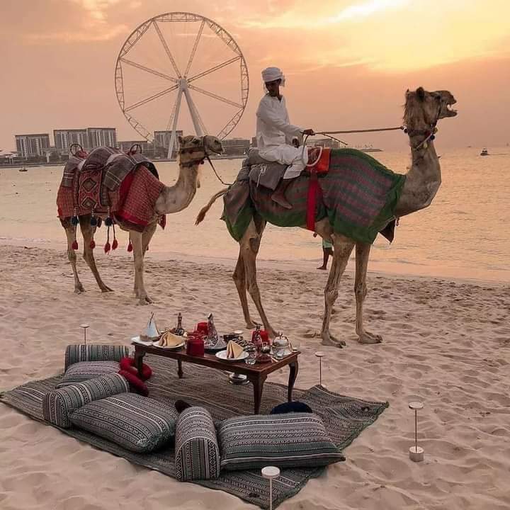 Divorce Shia Boy Rishta