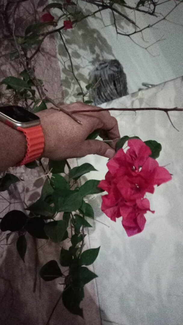 Divorced Boy Rishta from Islamabad