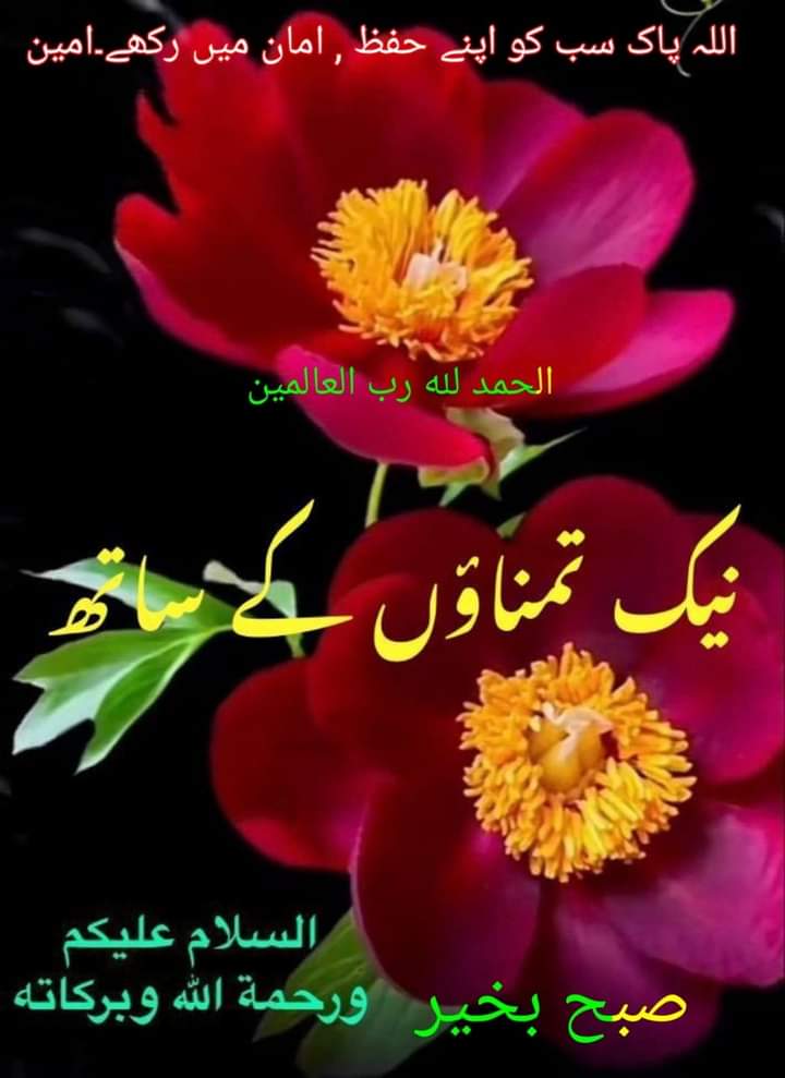 Boy seeking Rishta from Rawalpindi